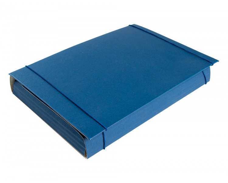 Carpeta proyectos liderpapel extensible gofrada folio