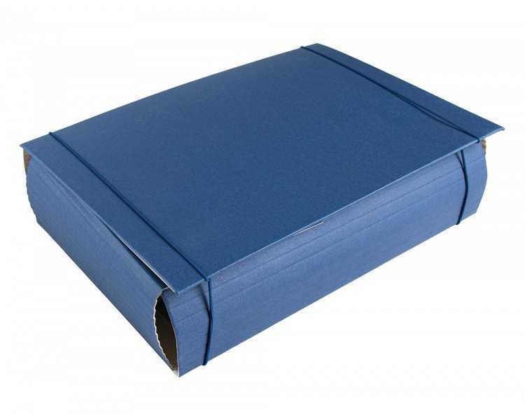 Carpeta proyectos liderpapel extensible gofrada folio