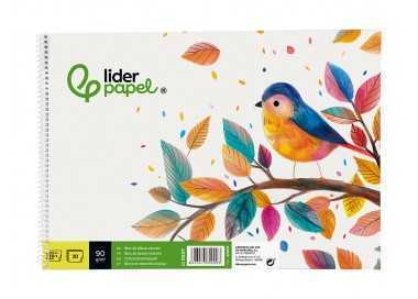 Bloc dibujo liderpapel escolar espiral 230x325mm 20 hojas 90 gr/m2 sin recuadro