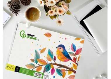 Bloc dibujo liderpapel escolar espiral 230x325mm 20 hojas 90 gr/m2 sin recuadro
