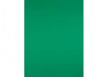 Cartulina liderpapel 50x65 cm verde navidad 180 gr unidad
