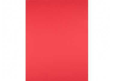 Cartulina liderpapel 50x65 cm 180g/m2 rojo