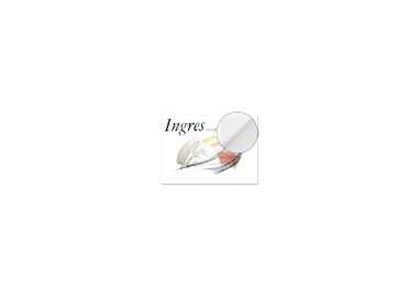 Papel ingres 50x70 blanco -108 gr