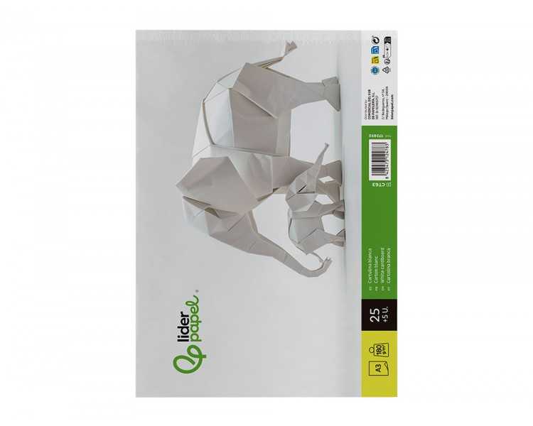 Cartulina liderpapel a3 180g/m2 blanco paquete de 25+5 hojas en carpeta dossier transparente con cierre