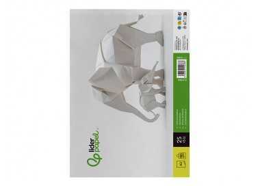 Cartulina liderpapel a3 180g/m2 blanco paquete de 25+5 hojas en carpeta dossier transparente con cierre Cartulina liderpapel a3 180g/m2 blanco paquete de 25+5 hojas en carpeta dossier transparente con cierre