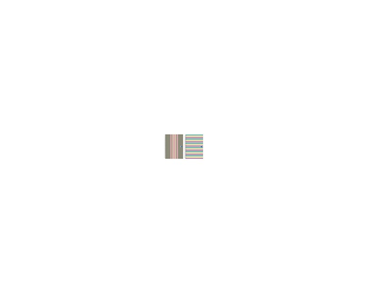 Cuaderno espiral oxford europeanbook 5 tapa extradura din a4+ 120 hojas horizontal
