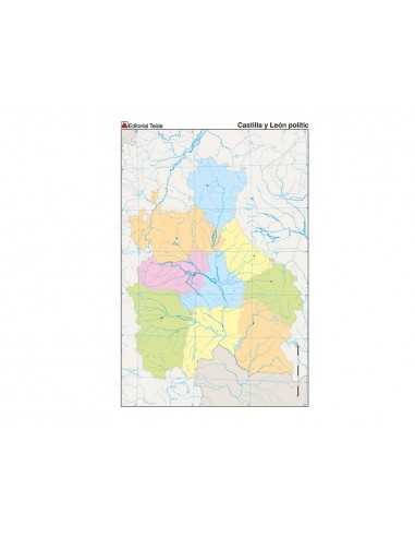 Mapa mudo color din a4 castilla-leon politico