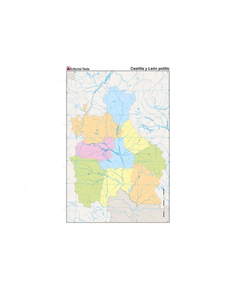 Mapa mudo color din a4 castilla-leon politico