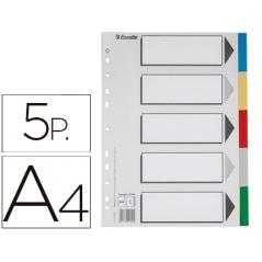 Separador esselte plastico juego de 5 separadores din a4 con 5 colores multitaladro
