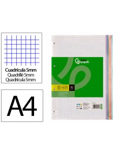 Recambio liderpapel a4 120 hojas 90gr cuadro 5 mm 4 taladros bandas de 5 colores pasteles
