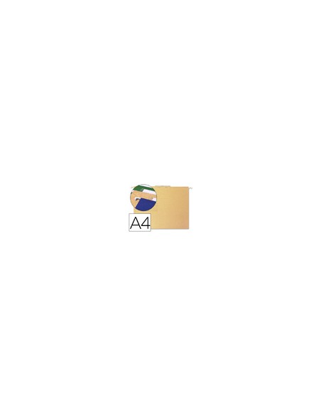 Carpeta colgante gio din a4 41200 240x315 mm