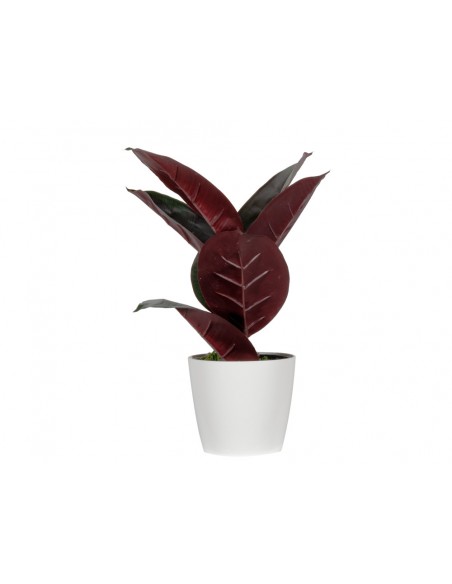 Planta artificial paperflow ficus elastica 36 cm