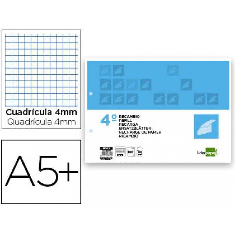 Recambio liderpapel cuarto apaisado 100 h 2tca-06 cuadro 3 mm 2 taladros con margen