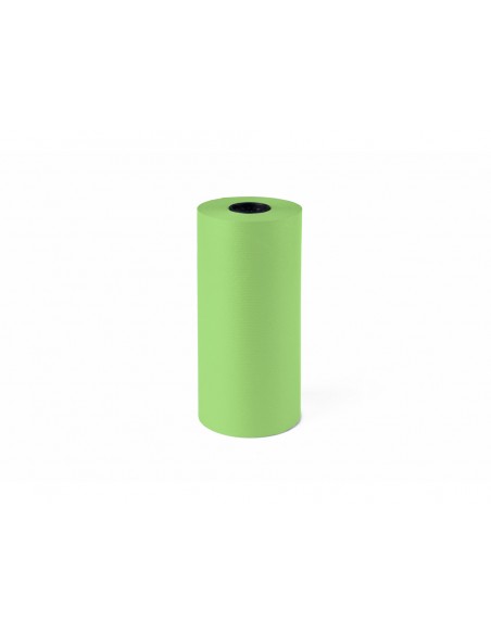 Papel de regalo kraft liso bobina ancho 31 cm peso 3,5 kg gramaje 60 gr verde pistacho