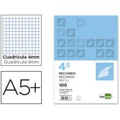 Recambio liderpapel cuarto apaisado 100 h 2tca-01 cuadro 4 mm 2 taladros con margen