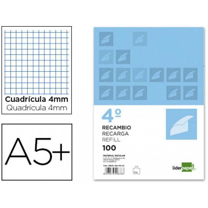 Recambio liderpapel cuarto apaisado 100 h 2tca-01 cuadro 4 mm 2 taladros con margen