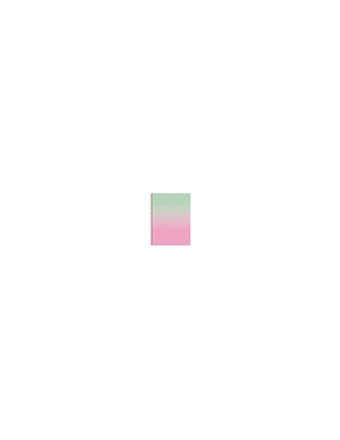 Cuaderno espiral miquelrius din a4 80 hojas cuadro 5 mm 90 gr gradient rosa verde menta