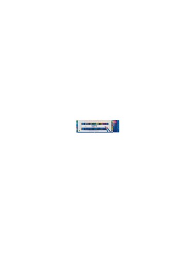Rotulador giotto turbo pro doble punta caja de 30 unidades colores surtidos